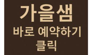 강남 스웨디시 후기